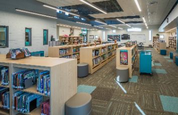  the arroyo library